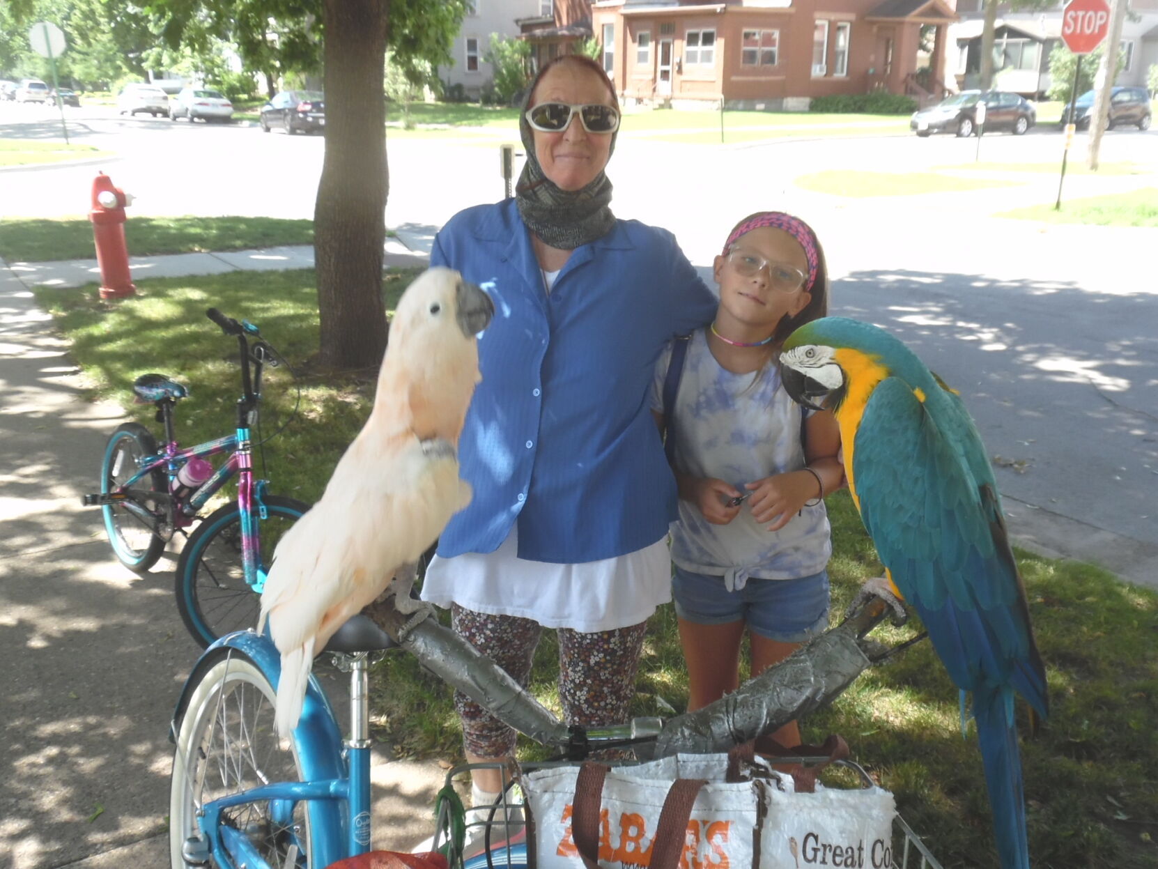 Pedaling is for the birds